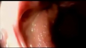 Ejaculate Inside The Vagina Part Of The Second Part.