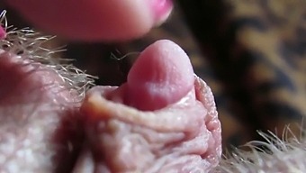 Extremely Close Up On My Huge Clit Head And Painstakingly Pulsating.