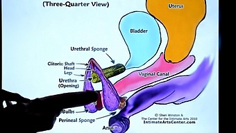 Homemade Lesson On Female Ejaculation Techniques